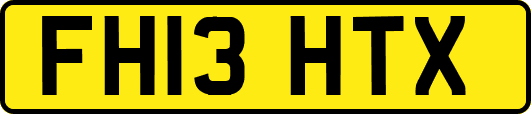 FH13HTX