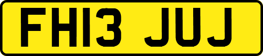 FH13JUJ