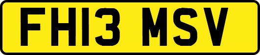 FH13MSV