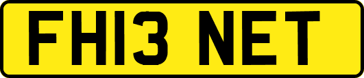 FH13NET