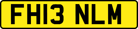 FH13NLM