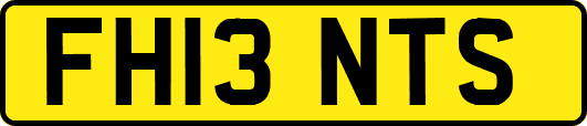 FH13NTS