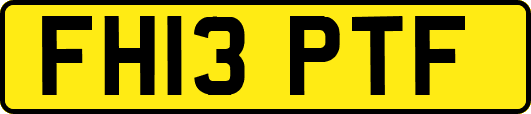 FH13PTF
