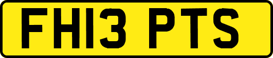 FH13PTS