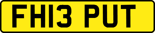 FH13PUT