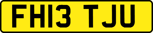 FH13TJU