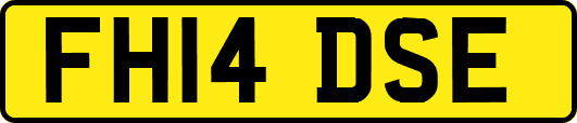 FH14DSE