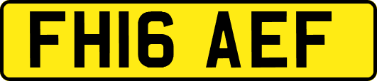 FH16AEF