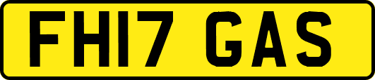 FH17GAS