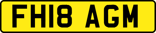 FH18AGM