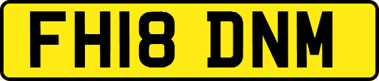 FH18DNM