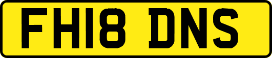 FH18DNS