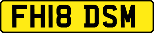 FH18DSM