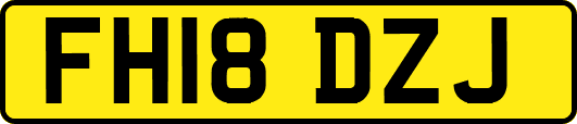 FH18DZJ