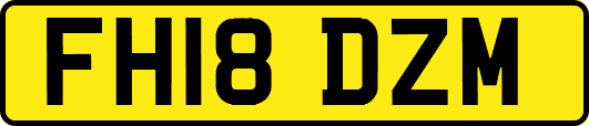 FH18DZM