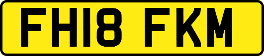 FH18FKM