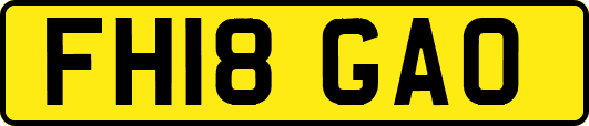FH18GAO