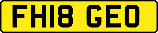 FH18GEO