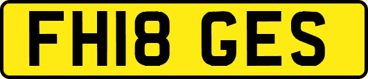 FH18GES
