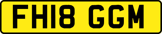 FH18GGM