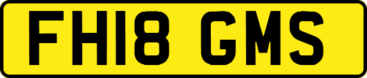 FH18GMS