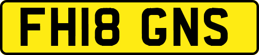 FH18GNS