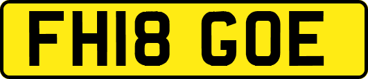 FH18GOE