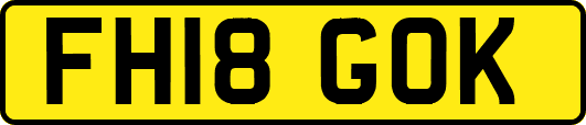 FH18GOK