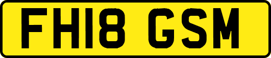 FH18GSM