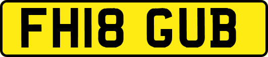 FH18GUB