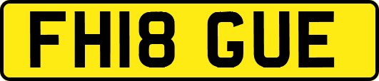 FH18GUE