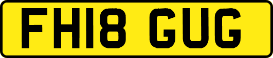 FH18GUG