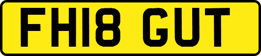 FH18GUT