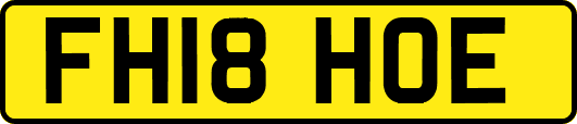 FH18HOE