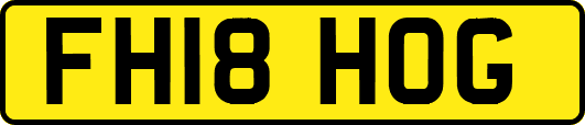 FH18HOG