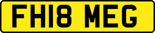 FH18MEG