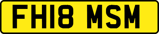 FH18MSM