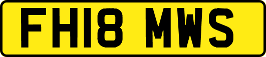FH18MWS