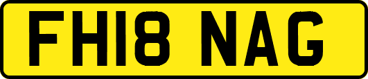 FH18NAG