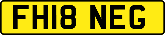 FH18NEG