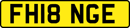 FH18NGE