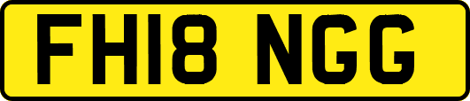 FH18NGG