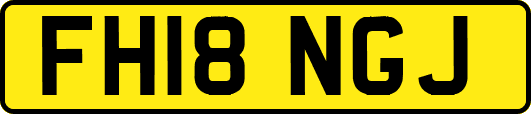 FH18NGJ