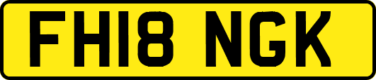 FH18NGK