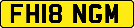 FH18NGM