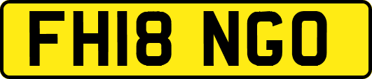FH18NGO