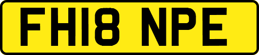 FH18NPE