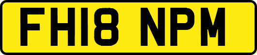 FH18NPM