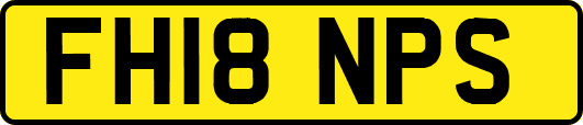 FH18NPS