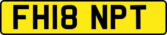 FH18NPT